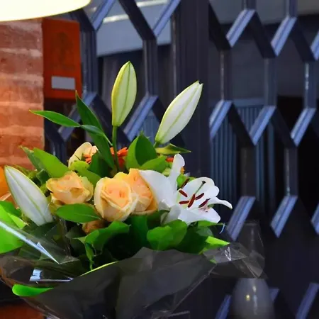 Les Capitouls Centre - Handwritten Collection 4* Toulouse